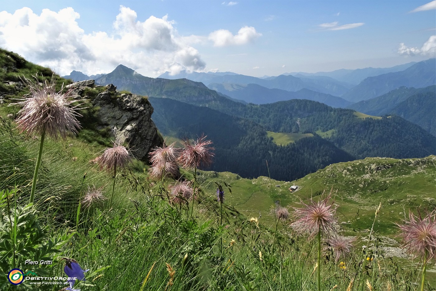 38 Salendo su sentierino il canale erboso per la Bocchetta di Budria (2216 m).JPG